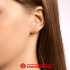 Серьги из серебра 925 пробы 33817113 — Красная Пресня Серьги из серебра 925 пробы 33817113 — Красная Пресня