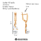 Серьги из серебра 925 пробы 33313027 — Красная Пресня Серьги из серебра 925 пробы 33313027 — Красная Пресня