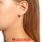 Серьга из серебра 925 пробы 33816707 — Красная Пресня Серьга из серебра 925 пробы 33816707 — Красная Пресня