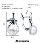 Серьги из серебра 925 пробы 33310966 — Красная Пресня Серьги из серебра 925 пробы 33310966 — Красная Пресня