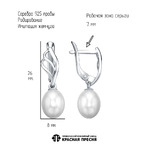 Серьги из серебра 925 пробы 33617056Д — Красная Пресня Серьги из серебра 925 пробы 33617056Д — Красная Пресня