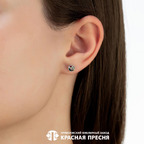 Серьги из серебра 925 пробы 3389574ДМс — Красная Пресня Серьги из серебра 925 пробы 3389574ДМс — Красная Пресня