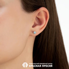 Серьги из серебра 925 пробы 3389572Д3 — Красная Пресня Серьги из серебра 925 пробы 3389572Д3 — Красная Пресня