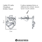 Серьги из серебра 925 пробы 33816314Д — Красная Пресня Серьги из серебра 925 пробы 33816314Д — Красная Пресня