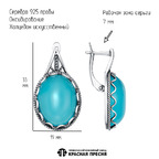 Серьги из серебра 925 пробы 33317146гх — Красная Пресня Серьги из серебра 925 пробы 33317146гх — Красная Пресня