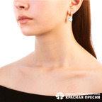 Серьги из серебра 925 пробы 33812704Д — Красная Пресня Серьги из серебра 925 пробы 33812704Д — Красная Пресня