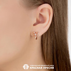 Серьги из серебра 925 пробы 33814957 — Красная Пресня Серьги из серебра 925 пробы 33814957 — Красная Пресня