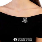 Брошь из серебра 925 пробы 13613686 — Красная Пресня Брошь из серебра 925 пробы 13613686 — Красная Пресня