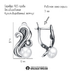 Серьги из серебра 925 пробы 33316876 — Красная Пресня Серьги из серебра 925 пробы 33316876 — Красная Пресня