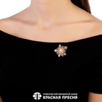 Брошь из серебра 925 пробы 13613687 — Красная Пресня Брошь из серебра 925 пробы 13613687 — Красная Пресня