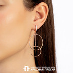 Серьги из серебра 925 пробы 33014529 — Красная Пресня Серьги из серебра 925 пробы 33014529 — Красная Пресня