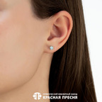 Серьги из серебра 925 пробы 3389956Пл3 — Красная Пресня Серьги из серебра 925 пробы 3389956Пл3 — Красная Пресня