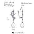 Серьги из серебра 925 пробы 33616982 — Красная Пресня Серьги из серебра 925 пробы 33616982 — Красная Пресня