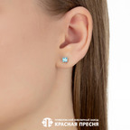 Серьги из серебра 925 пробы 33815308Пл3 — Красная Пресня Серьги из серебра 925 пробы 33815308Пл3 — Красная Пресня