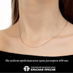 Цепь из серебра 925 пробы СНЕЙК8р — Красная Пресня Цепь из серебра 925 пробы СНЕЙК8р — Красная Пресня