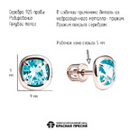 Серьги из серебра 925 пробы 33117582ДТг — Красная Пресня