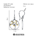 Серьги из серебра 925 пробы 33015682-1 — Красная Пресня