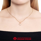 Подвеска из серебра 925 пробы 53016307 — Красная Пресня