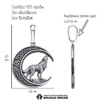 Подвеска из серебра 925 пробы 53015606 — Красная Пресня
