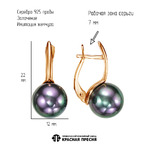 Серьги из серебра 925 пробы 3368305-14 — Красная Пресня