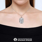 Подвеска из серебра 925 пробы 53014886 — Красная Пресня